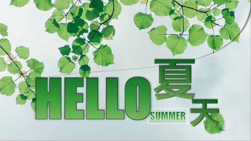 绿色小清新你好夏天PPT模板
