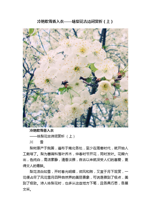 冷艳欺雪香入衣——咏梨花古诗词赏析（上）