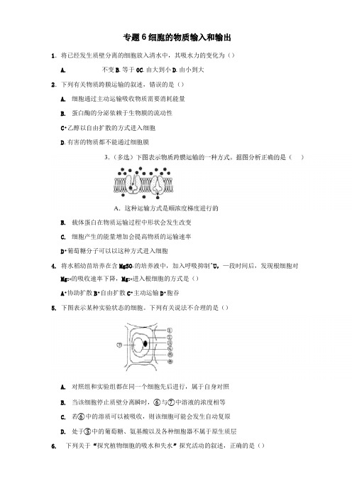 高三生物寒假能量包——专题练习6 细胞的物质输入和输出(含答案)