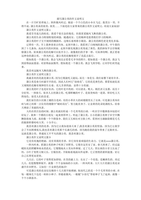 描写蒲公英的作文说明文
