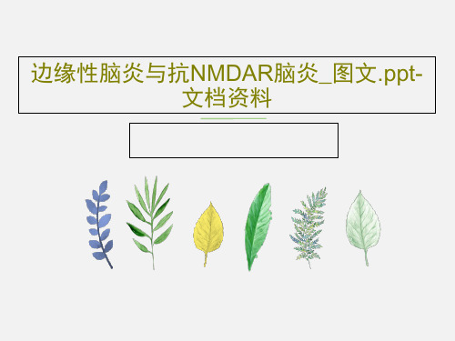 边缘性脑炎与抗NMDAR脑炎_图文.ppt-文档资料共24页