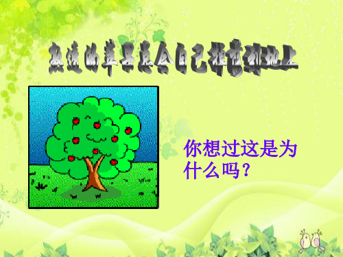 四年级下册科学课件-第四单元第三课苹果为什么会落地 苏教版共12张PPT