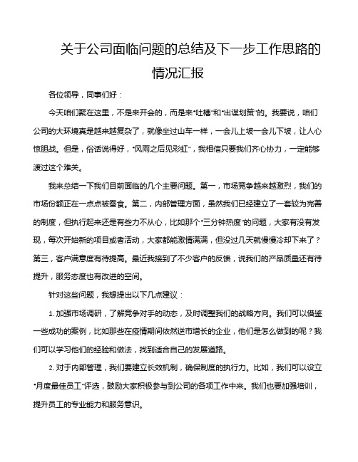 关于公司面临问题的总结及下一步工作思路的情况汇报