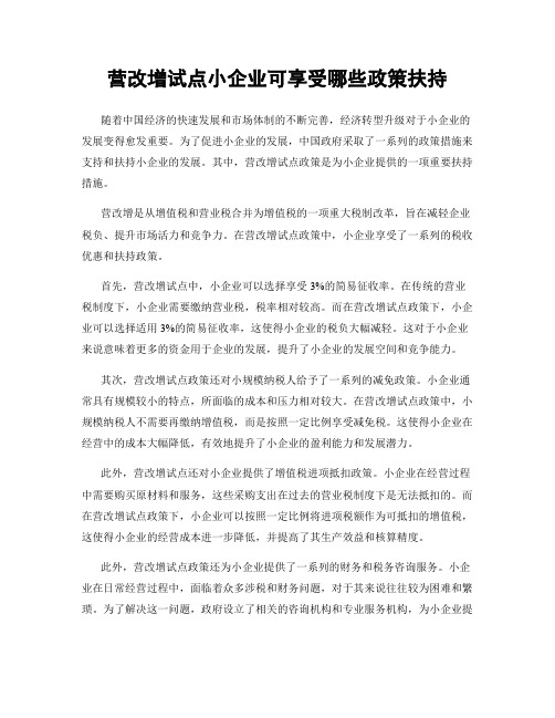 营改增试点小企业可享受哪些政策扶持