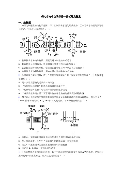 保定市高中生物必修一测试题及答案