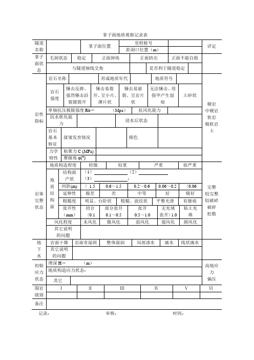 掌子面地质编录表