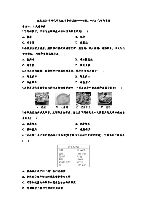 迎战2020中考化学总复习专项训练——专题二十六：化学和生活