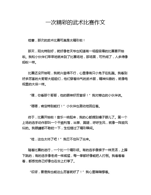 一次精彩的武术比赛作文