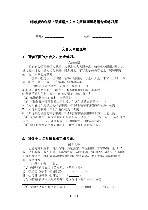 湘教版六年级上学期语文文言文阅读理解易错专项练习题