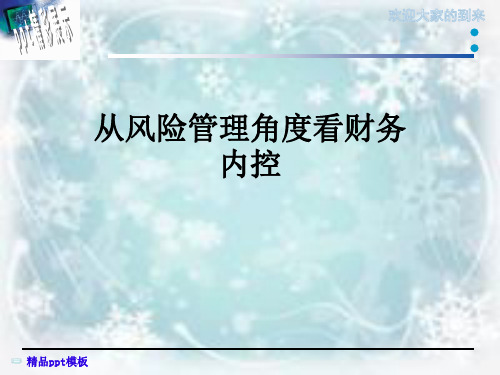 从风险管理角度看财务内控