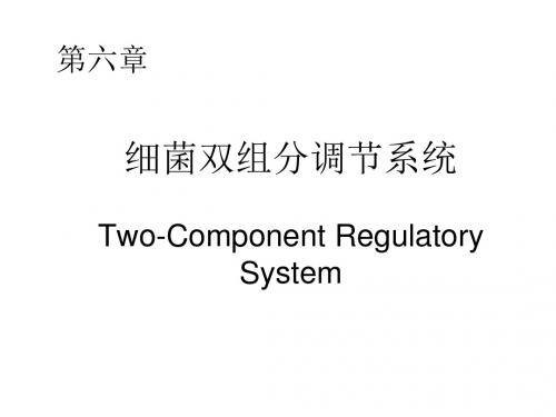 细菌双组分调节系统Two-ComponentRegulatorySystem