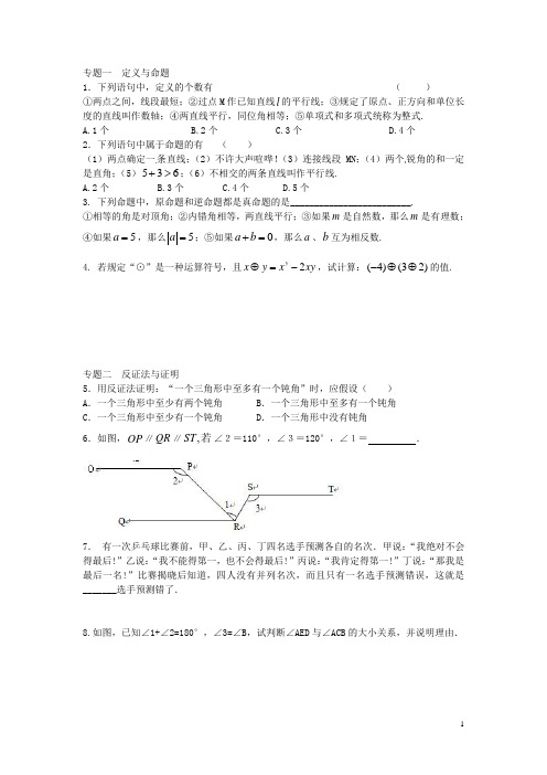 八年级数学上册 2.2 命题与证明全等三角形专题训练 (新版)湘教版