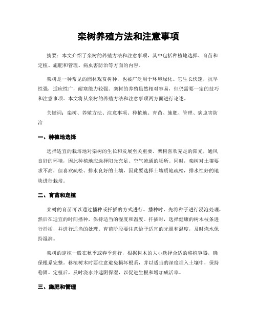 栾树养殖方法和注意事项