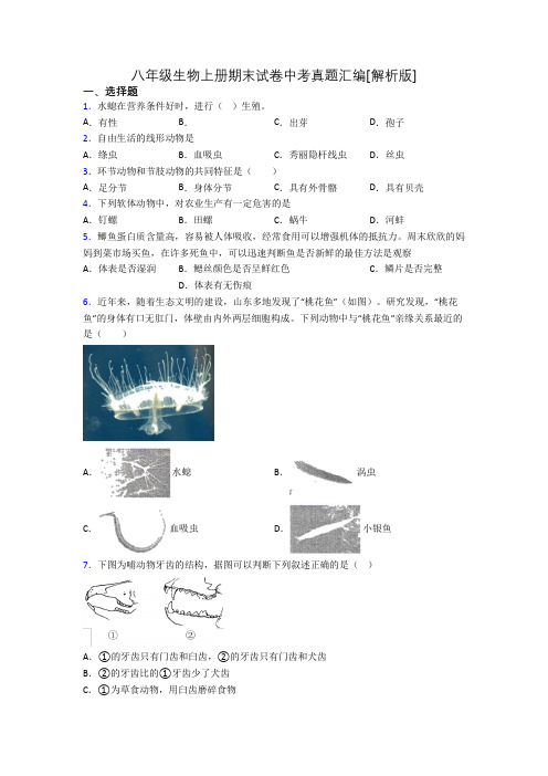 八年级生物上册期末试卷中考真题汇编[解析版][001]