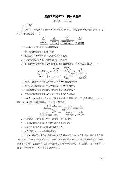 2020届  二轮复习 题型专项练(二) 图示图解类  作业 (全国通用)