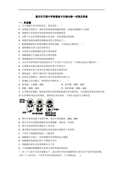 重庆市巴蜀中学普通高中生物必修一试卷及答案