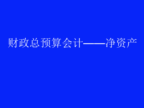 6、财政总预算会计——净资产