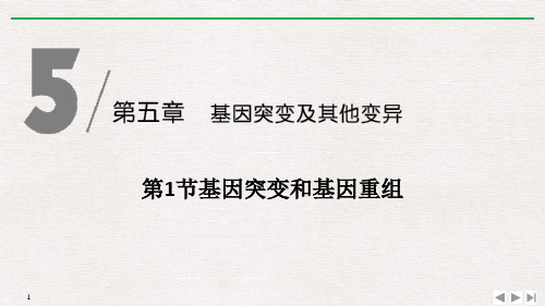 《基因突变和基因重组》基因突变及其他变异-人教版高中生物必修二PPT课件