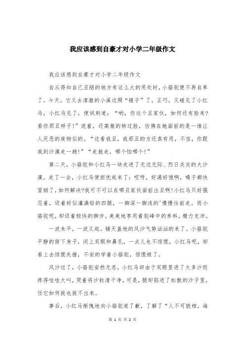 我应该感到自豪才对小学二年级作文