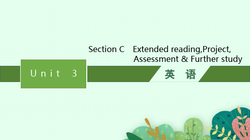 译林版高中英语必修第2册Unit 3 Festivals and customs Section C