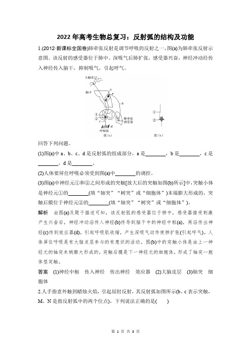 反射弧的结构及功能