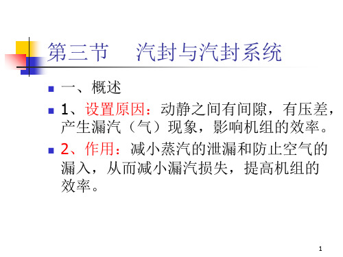 汽轮机结构汽封.PPT