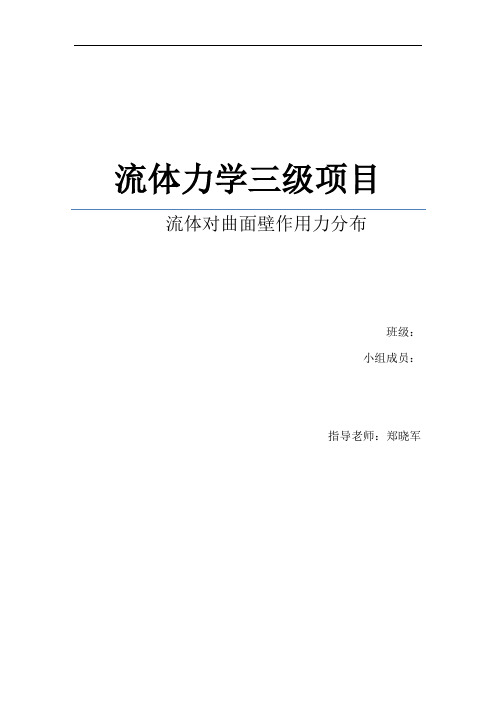 燕山大学工程流体力学三级项目研究报告