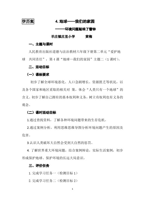 4.第二课时《环境问题敲响了警钟》(1)