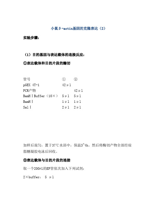 小鼠β-actin基因的克隆表达(2)