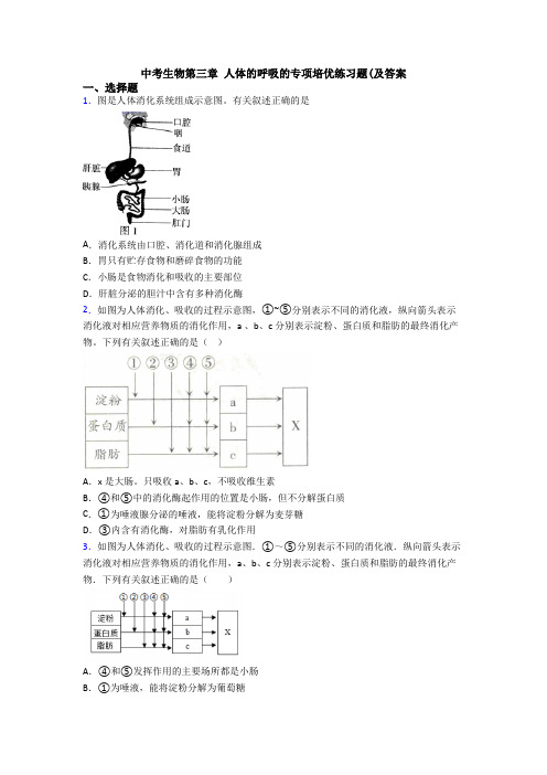 中考生物第三章 人体的呼吸的专项培优练习题(及答案