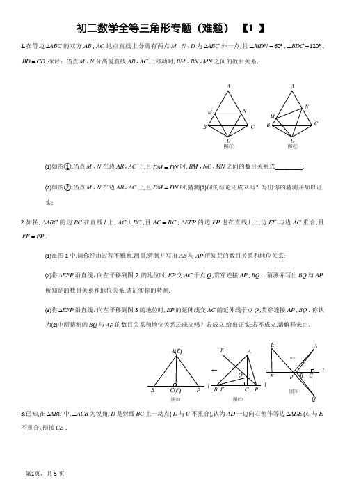 初二数学全等三角形专题难题