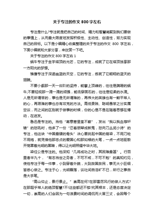 关于专注的作文800字左右