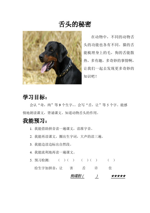 舌头的秘密 导学案 文档