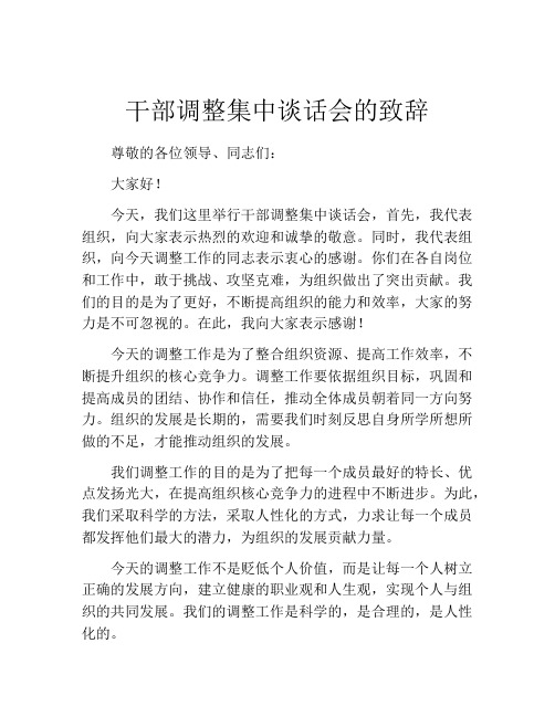 干部调整集中谈话会的致辞