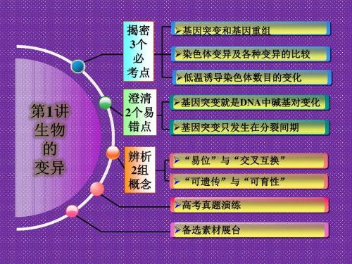 《创新设计·高考总复习》2014届高考生物第一轮复习之高考全程揭秘课件2-3-1生物的变异