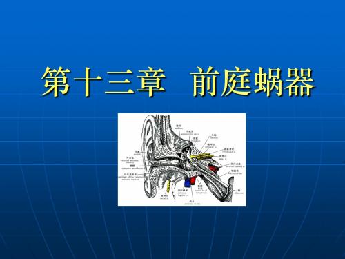 《前庭蜗器》PPT课件