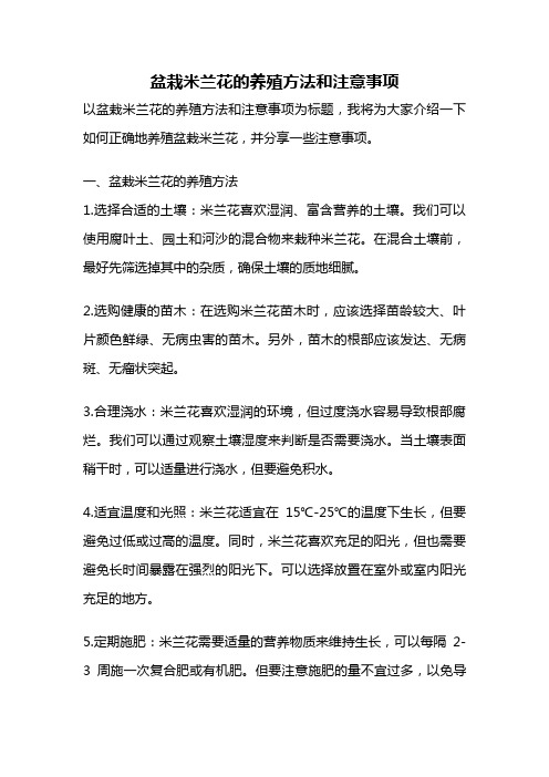 盆栽米兰花的养殖方法和注意事项