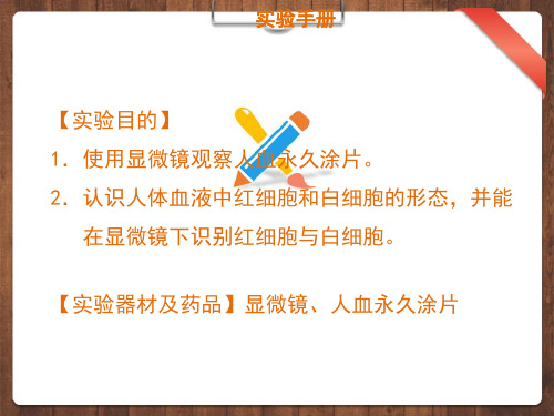 (课件)实验三使用显微镜观察人血永久切片(中考生物实验手册总复习【精美】)