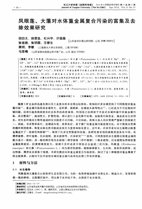 凤眼莲、大藻对水体重金属复合污染的富集及去除效果研究