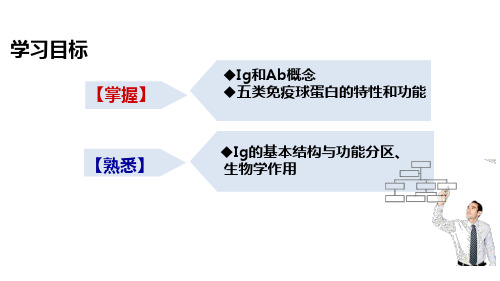 免疫球蛋白(病原生物与免疫学课件)