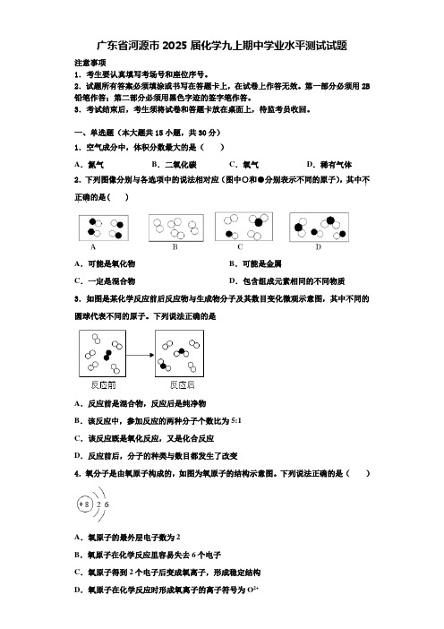 广东省河源市2025届化学九上期中学业水平测试试题含解析