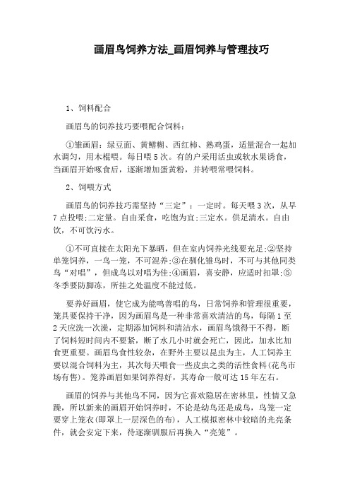 画眉饲养与管理技巧