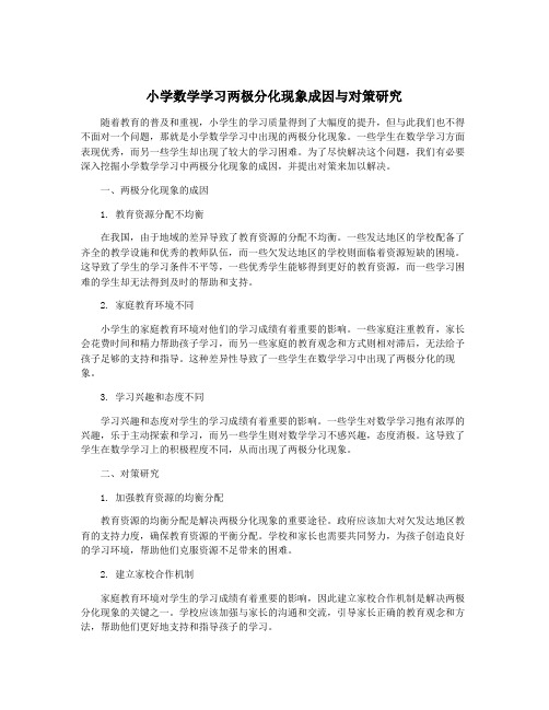 小学数学学习两极分化现象成因与对策研究