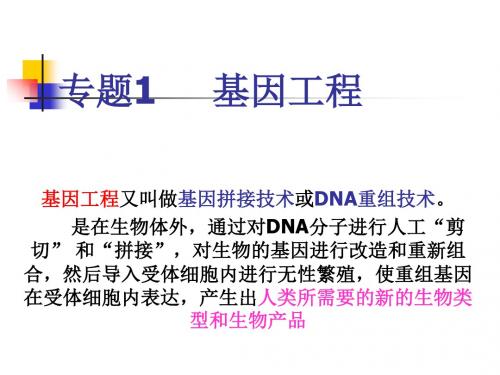 高中生物专题复习基因工程 PPT课件 苏教版