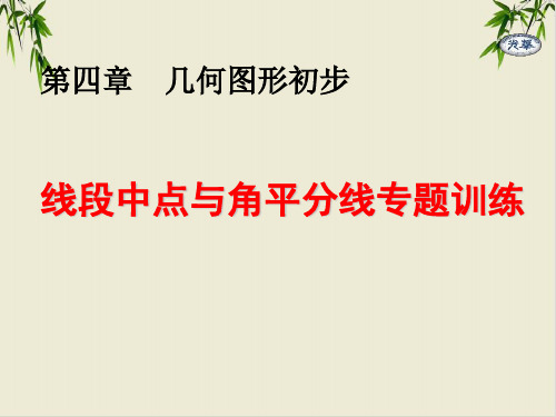 课件_人教版七上线段中点与角平分线专题训练PPT课件_优秀版1