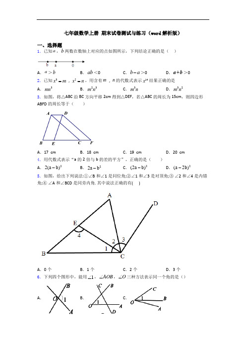 七年级数学上册 期末试卷测试与练习(word解析版)