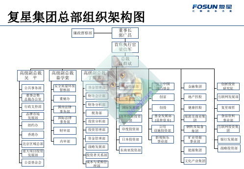 一图了解复星集团总部组织架构