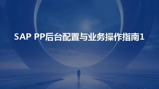 SAP PP后台配置与业务操作指南12024新版