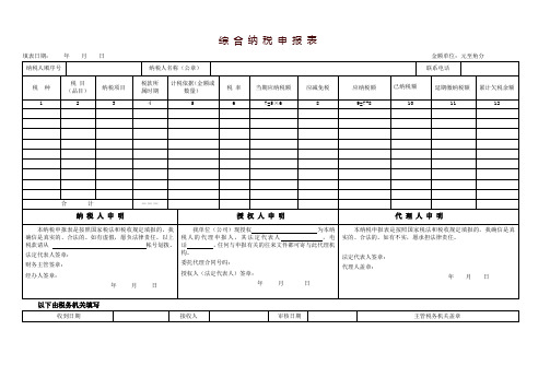 综合纳税申报表