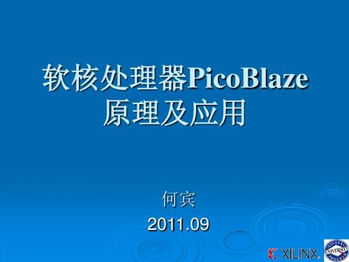 软核处理器PicoBlaze原理及应用